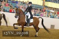 15YN_22408 thumbnail