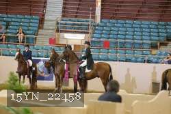 15YN_22458 thumbnail