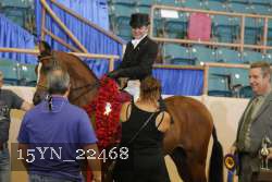 15YN_22468 thumbnail