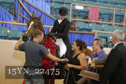 15YN_22475 thumbnail