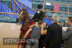 15YN_22476 thumbnail