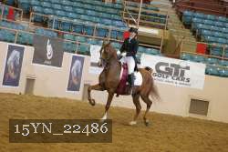 15YN_22486 thumbnail