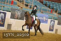 15YN_22502 thumbnail