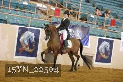 15YN_22504 thumbnail