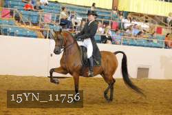 15YN_11756 thumbnail