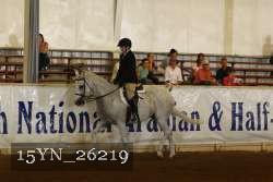 15YN_26219 thumbnail