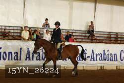 15YN_26224 thumbnail