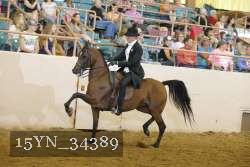 15YN_34389 thumbnail
