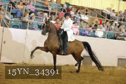 15YN_34391 thumbnail