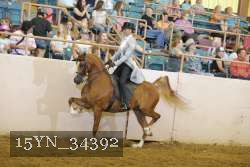 15YN_34392 thumbnail