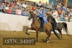 15YN_34397 thumbnail