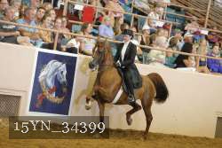 15YN_34399 thumbnail