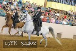 15YN_34402 thumbnail