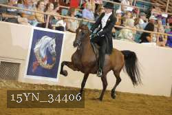 15YN_34406 thumbnail