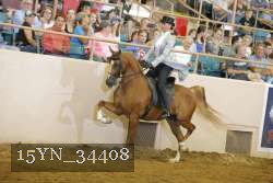 15YN_34408 thumbnail