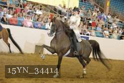 15YN_34414 thumbnail