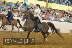 15YN_34415 thumbnail