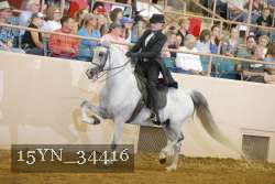 15YN_34416 thumbnail