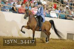 15YN_34417 thumbnail