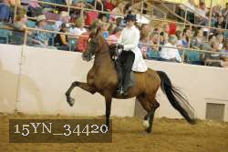 15YN_34420 thumbnail