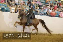 15YN_34421 thumbnail