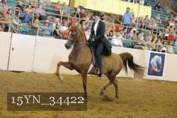 15YN_34422 thumbnail