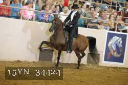 15YN_34424 thumbnail