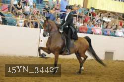 15YN_34427 thumbnail