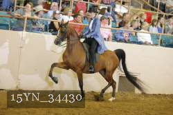 15YN_34430 thumbnail