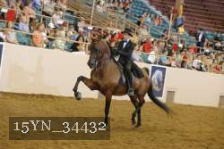 15YN_34432 thumbnail
