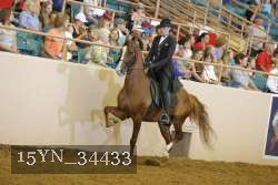 15YN_34433 thumbnail