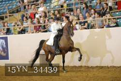 15YN_34439 thumbnail