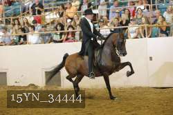 15YN_34444 thumbnail