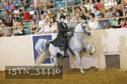 15YN_34446 thumbnail