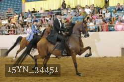 15YN_34451 thumbnail