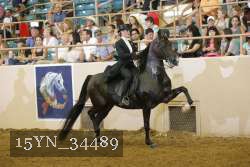 15YN_34489 thumbnail
