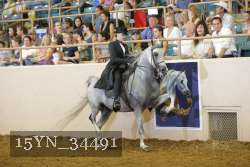 15YN_34491 thumbnail