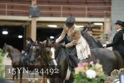 15YN_34492 thumbnail