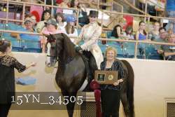 15YN_34505 thumbnail
