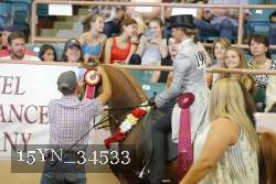 15YN_34533 thumbnail