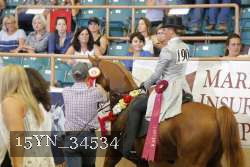 15YN_34534 thumbnail