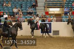 15YN_34539 thumbnail