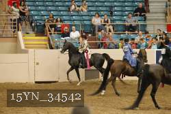 15YN_34542 thumbnail