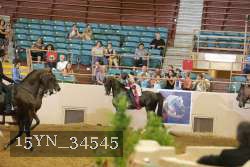 15YN_34545 thumbnail