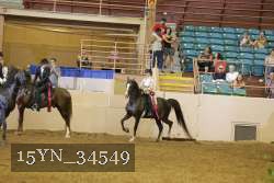 15YN_34549 thumbnail
