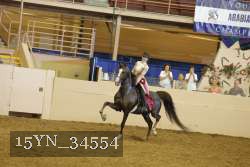 15YN_34554 thumbnail