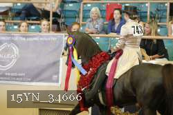 15YN_34666 thumbnail