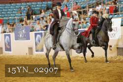 15YN_02907 thumbnail