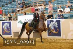 15YN_02914 thumbnail