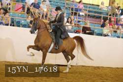15YN_17618 thumbnail